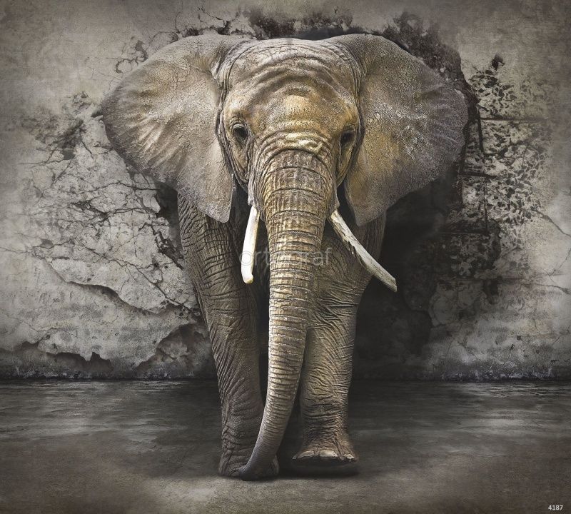 Фреска Слон  Art.4187