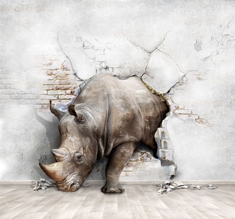 Фреска Носорог из стены