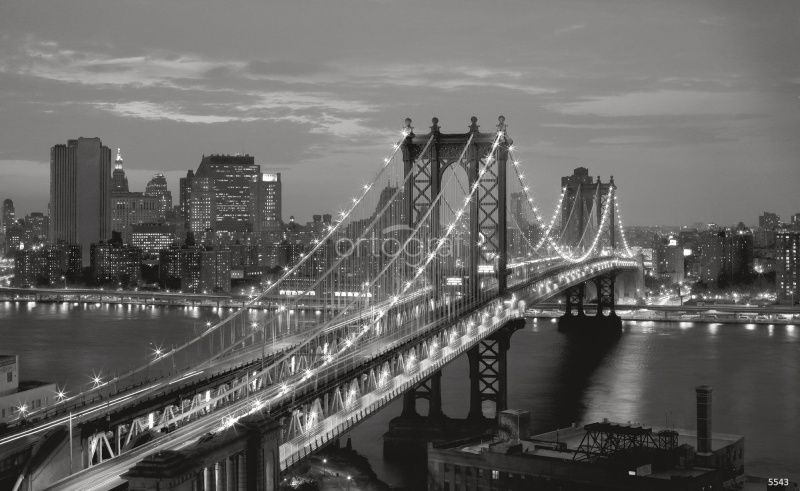 Фреска Ночной мегаполис Art.5543