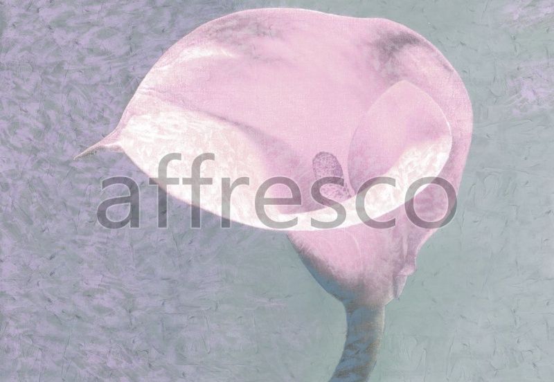 Фреска Цветок каллы, арт. ID135578