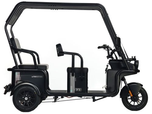 Электротрицикл Wanshida NIPLA 500 60V 1000Вт