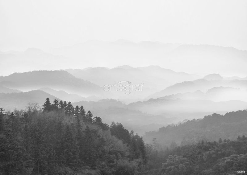 Фреска Лес Art.34074