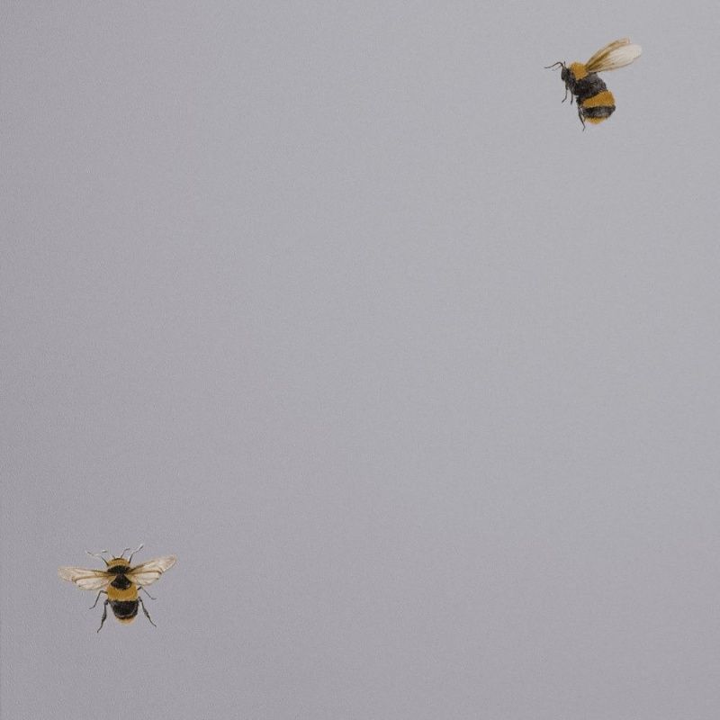 54419-6 Andrea Rossi Cavolli 1,06 х 10,05