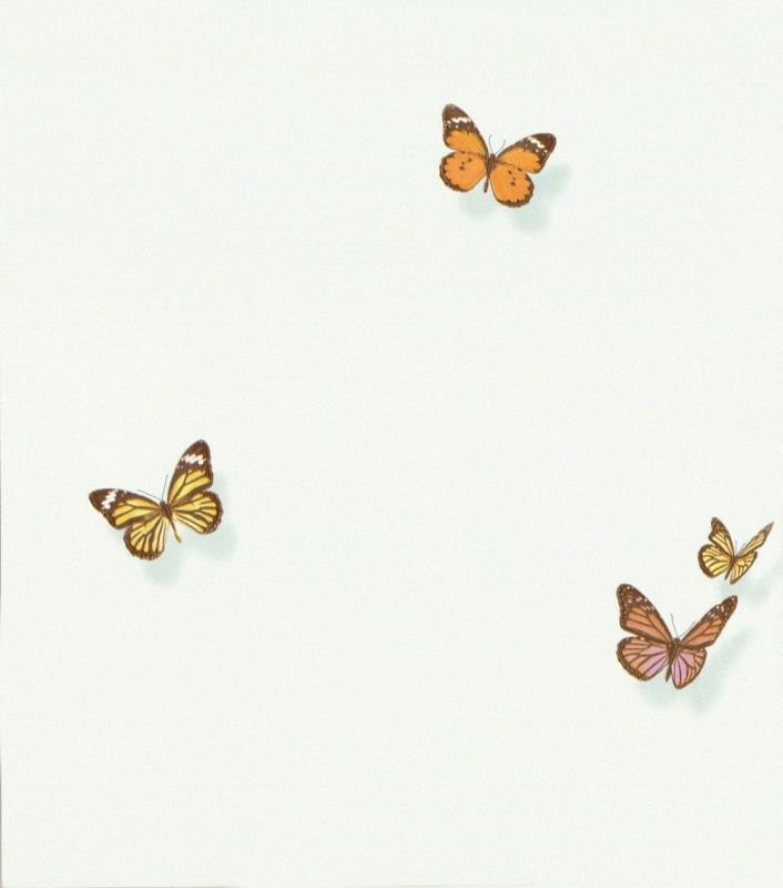 54363-4 Andrea Rossi Spectrum max 1,06 x 10,05