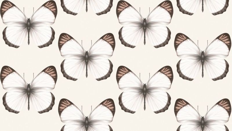 54401-2 Andrea Rossi Cheradi 1,06 x 10,05