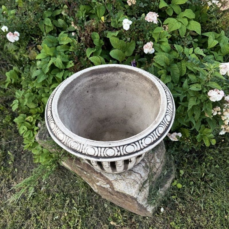 Глор большой