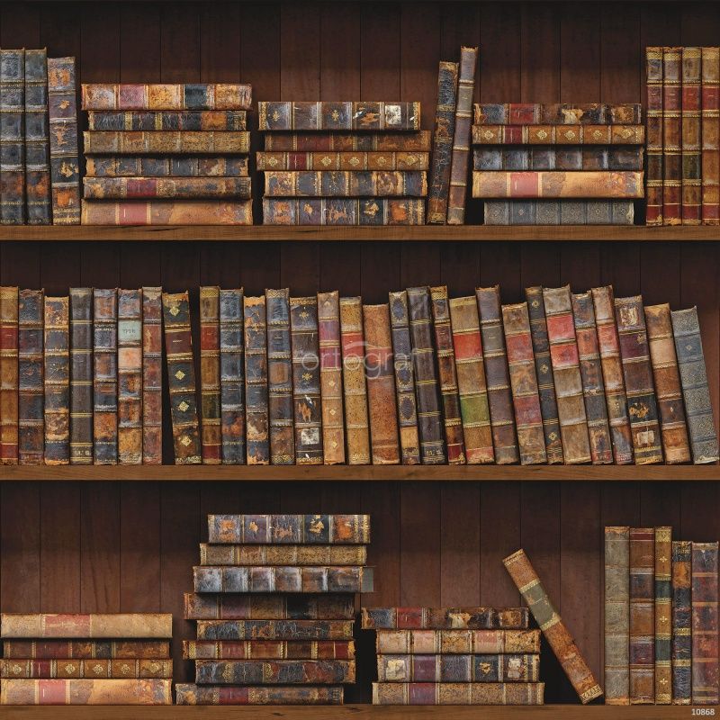 Фреска Старые книги Art.10868