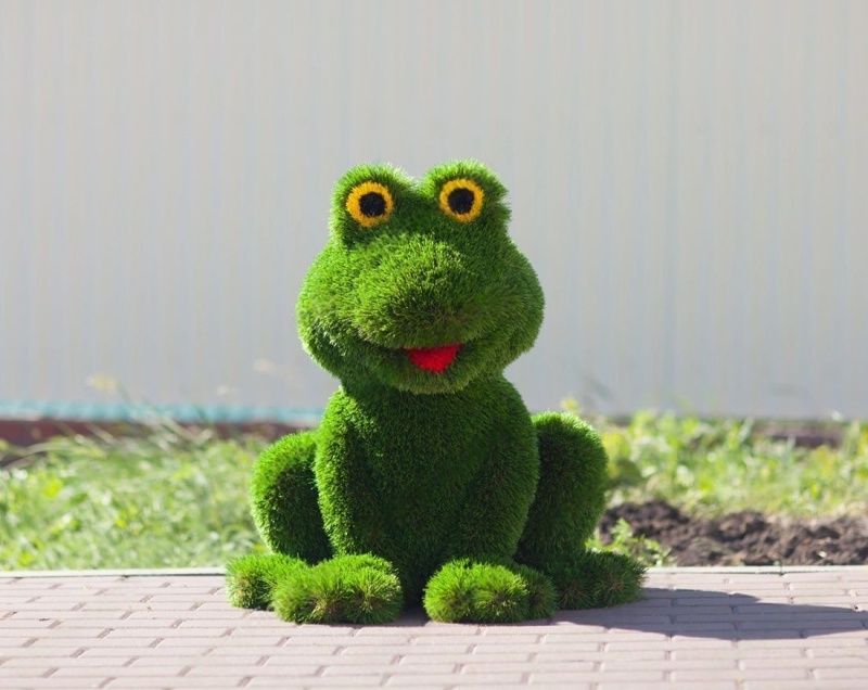 Топиари Лягушка 80*70*60