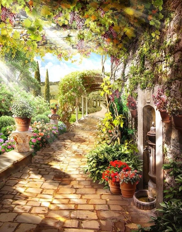 Фреска Современный Графический Дизайн 44485