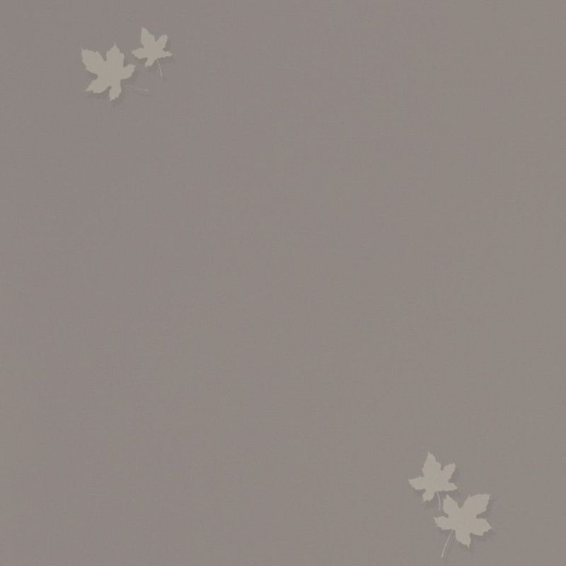 54384-6 Andrea Rossi Spectrum PRO 1,06 х 10,05