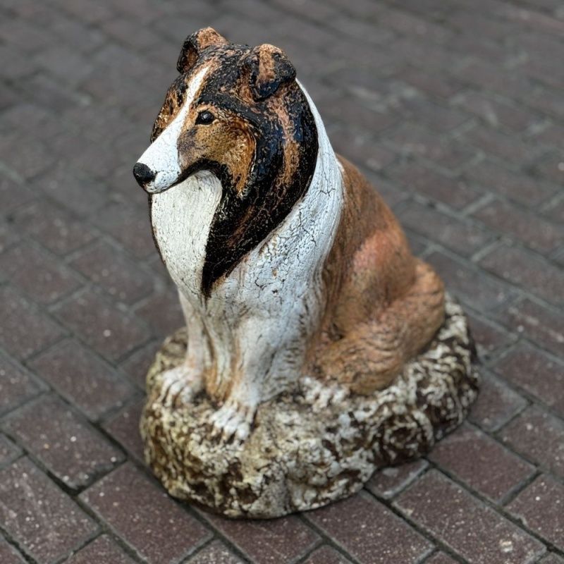 Собака Колли цветная