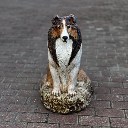 Собака Колли цветная