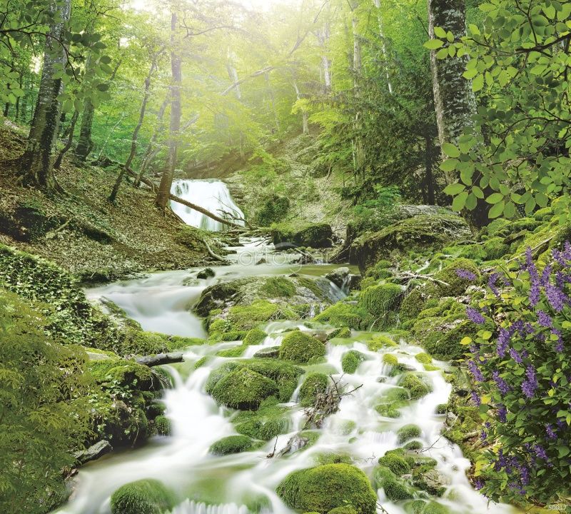 Фреска Лесной водопад Art.50017