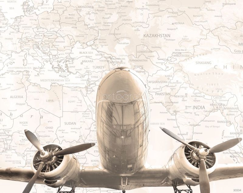 Фреска Самолет и карта Art.30334