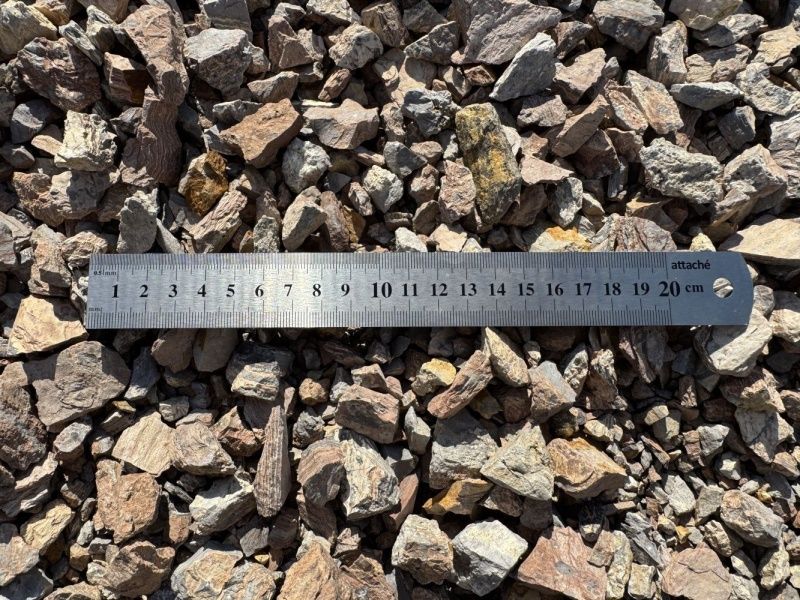 Полосатик крошка