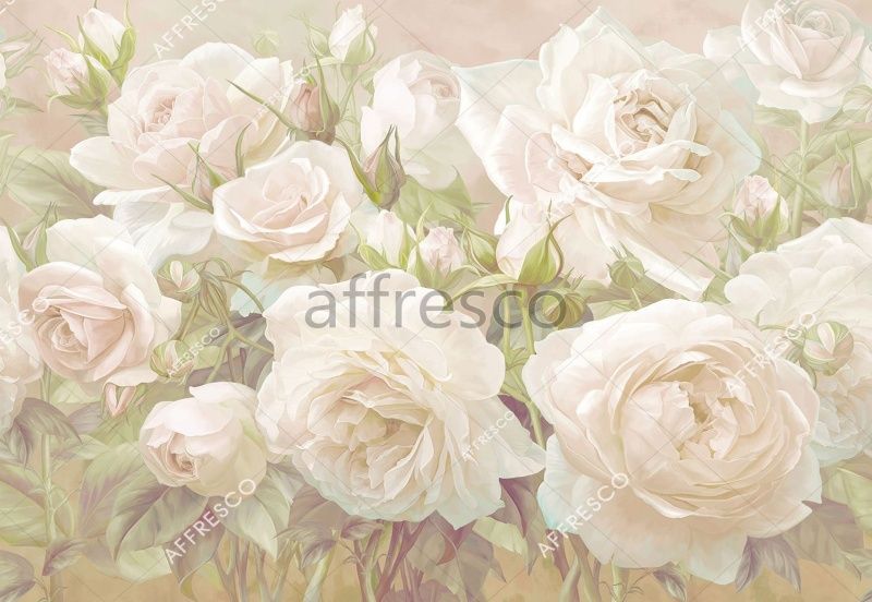 Фрески, Каталог Ботаника, арт. ID137709