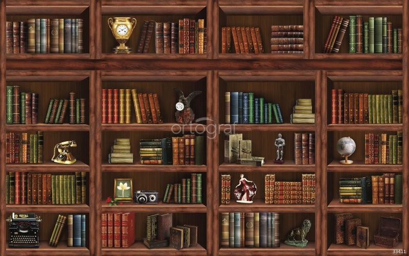 Фреска Стеллаж с книгами Art.33411