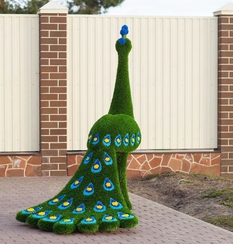 Павлин (Жар-птица) распродажа