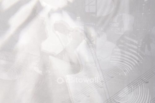 Фреска SHADOWS Show