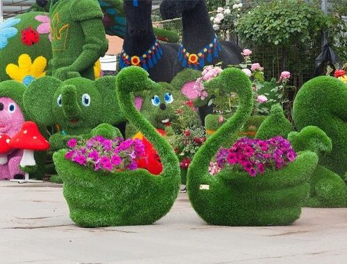 Топиари Лебель с кашпо Распродажа