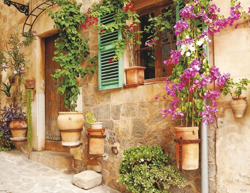 Фреска Улица в цветах Art.4124