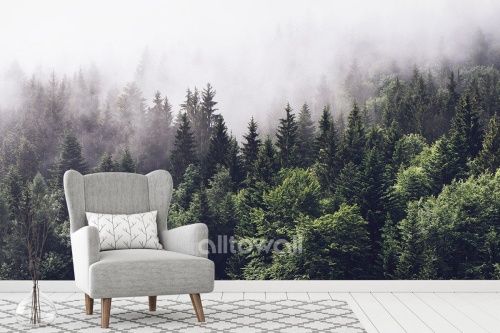 Фреска Загадочный туманный лес