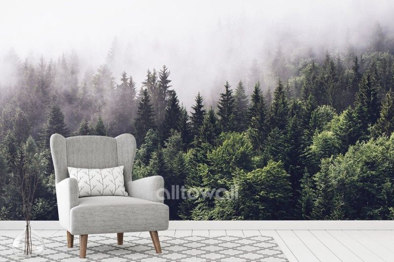 Фреска Загадочный туманный лес