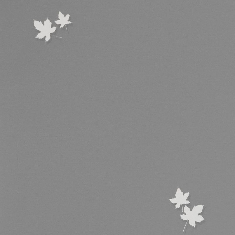 54384-5 Andrea Rossi Spectrum PRO 1,06 х 10,05