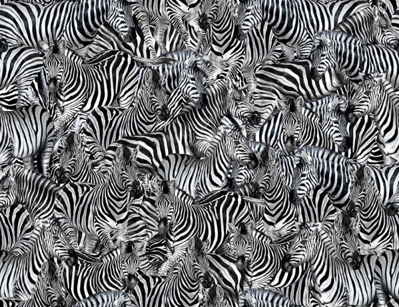 Виниловые фотообои Dolce&Gabbana №1 30123DGA