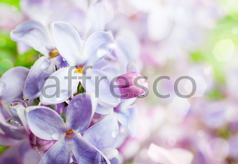 Фреска Сирень, арт. ID11842