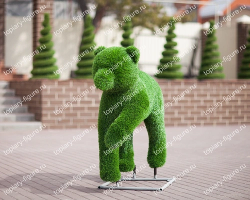 Медведь в движении (новая трава)