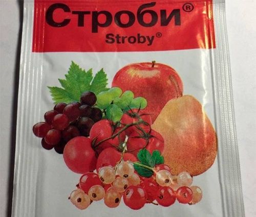 Строби 2 гр