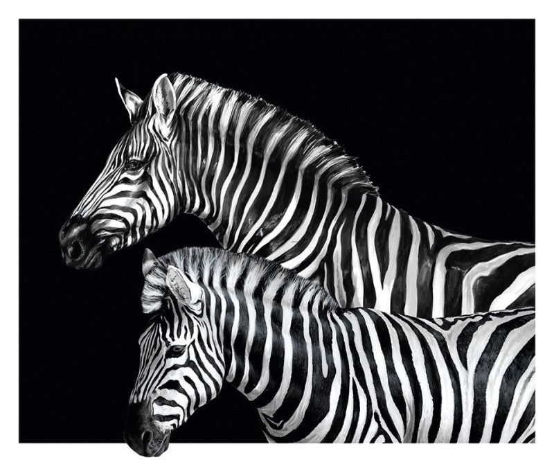 Флизелиновые фотообои Dolce&Gabbana №1 30120DGJ