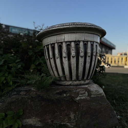 Глор большой