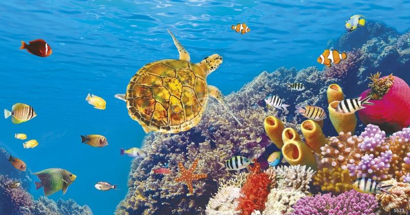 Фреска Морская черепаха Art.5523