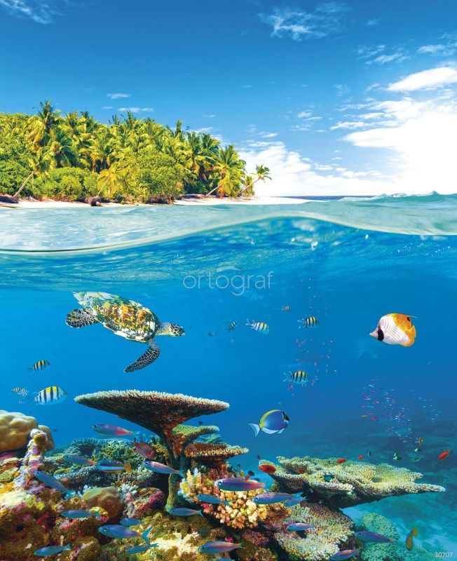 Фреска Риф Тепати Art.30707