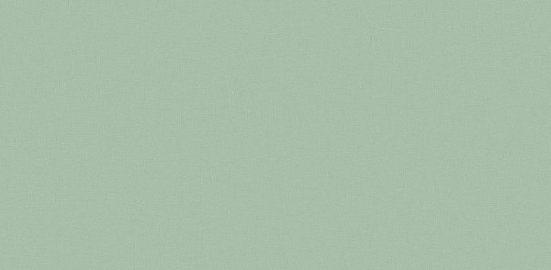 Виниловые обои Andrea Rossi Palmaria 54463-12 1.06