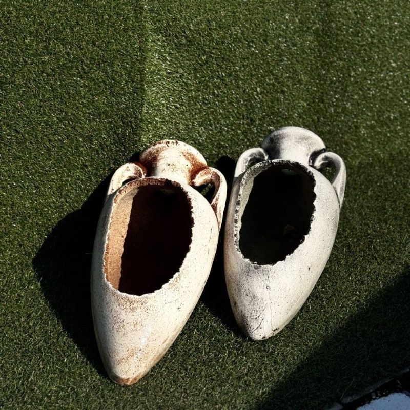 Амфора морская лежачая