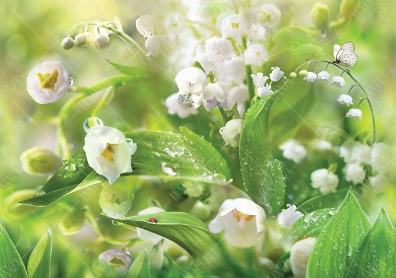 Фреска Ландыши в росе