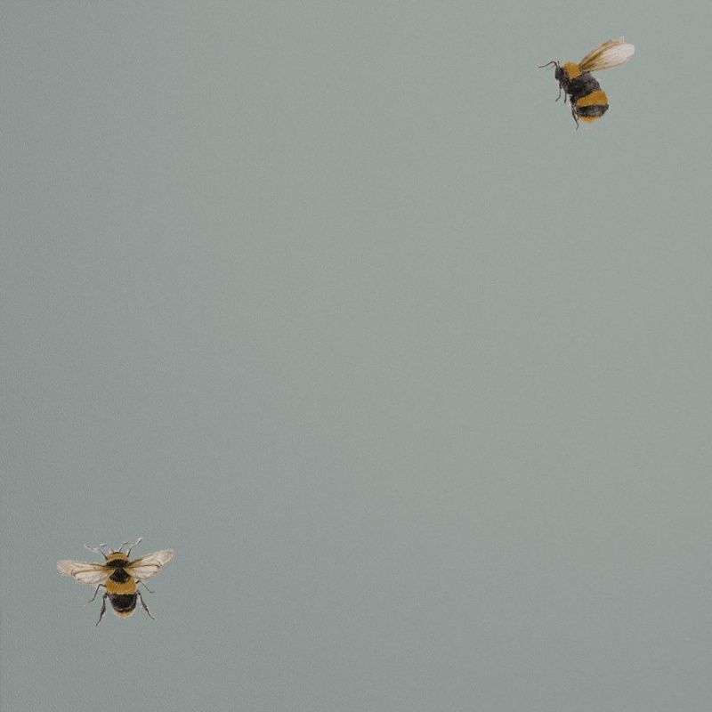 54419-7 Andrea Rossi Cavolli 1,06 х 10,05