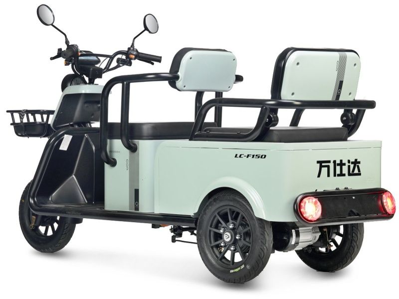 Электротрицикл Wanshida U1-X 60V 800Вт