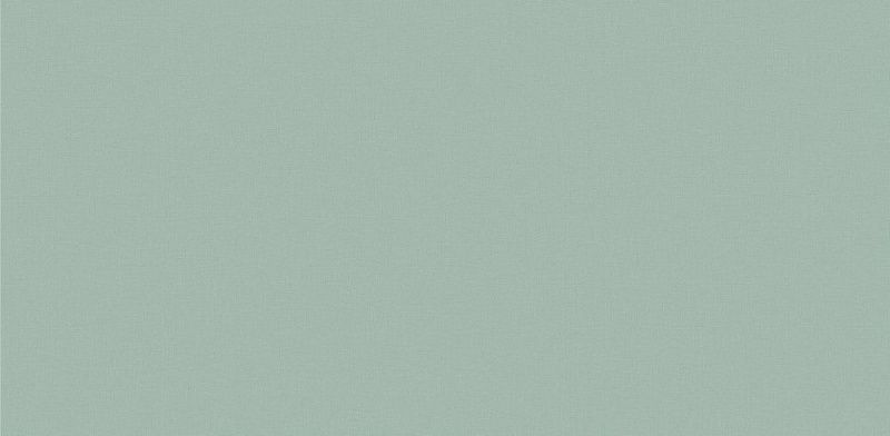 Виниловые обои Andrea Rossi Palmaria 54469-14 1.06