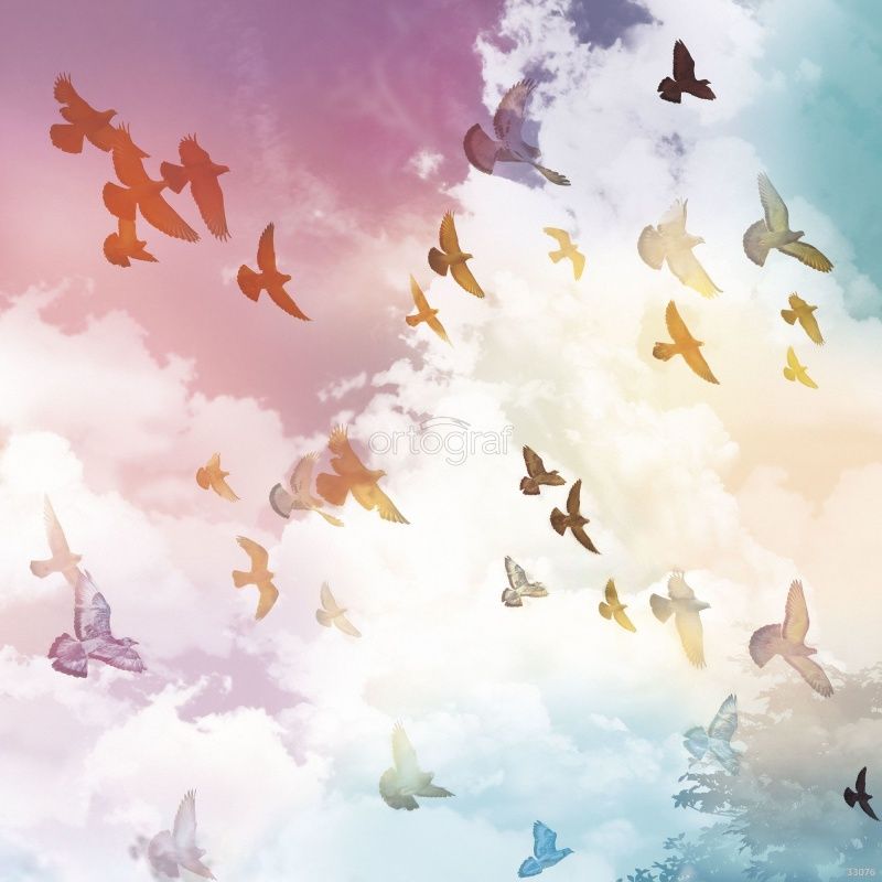 Фреска Птицы в небе Art.33076