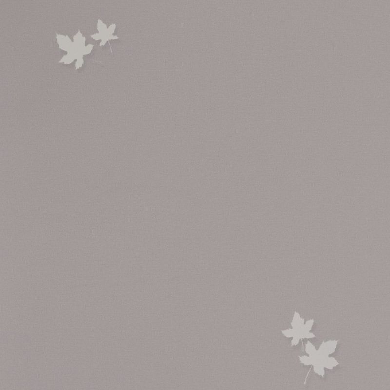 54384-3 Andrea Rossi Spectrum PRO 1,06 х 10,05