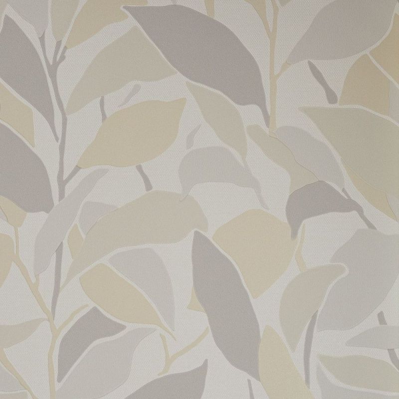 54430-2 Andrea Rossi Spectrum Trend 1,06 х 10,05