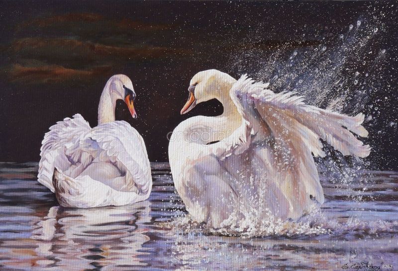 Фреска Разрешите пригласить Art.8267