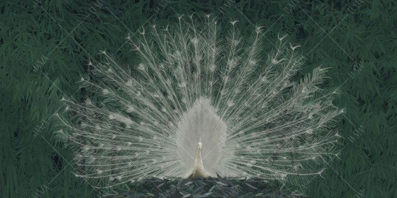 Фреска ALBA Natura арт. 800140