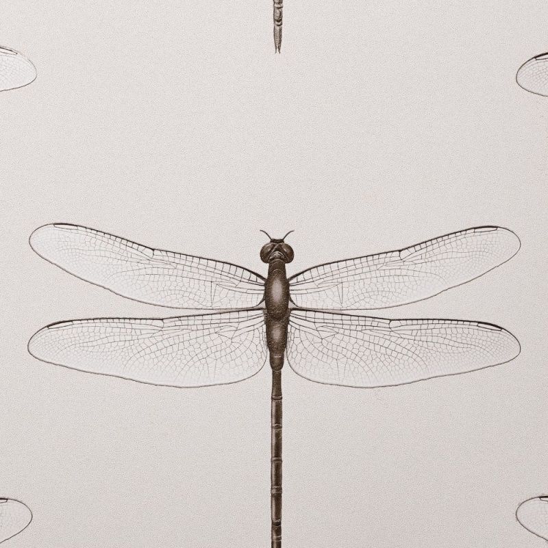 54426-2 Andrea Rossi Cavolli 1,06 х 10,05