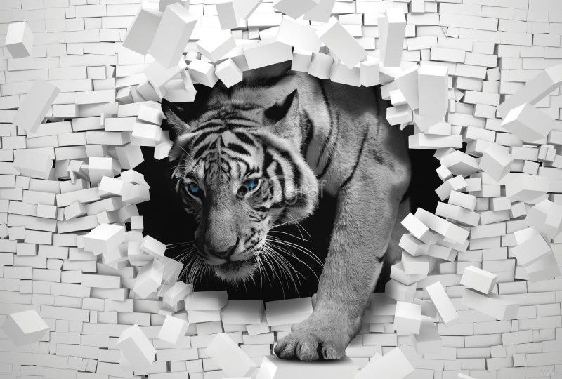 Фреска Скоз стены Art.33261