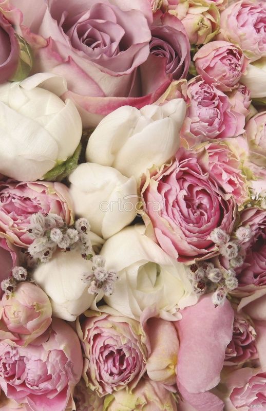 Фреска Розы Art.3905